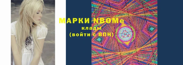 гашик Алексин