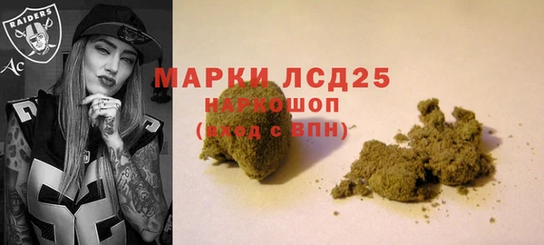 гашик Алексин