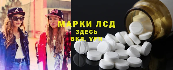 гашик Алексин