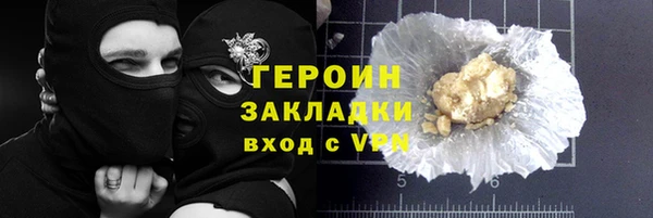 гашик Алексин