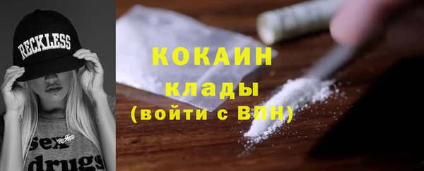 гашик Алексин