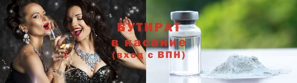 гашик Алексин