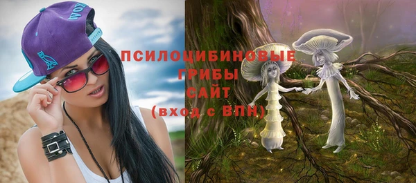 МДПВ Лиски
