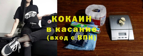 гашик Алексин