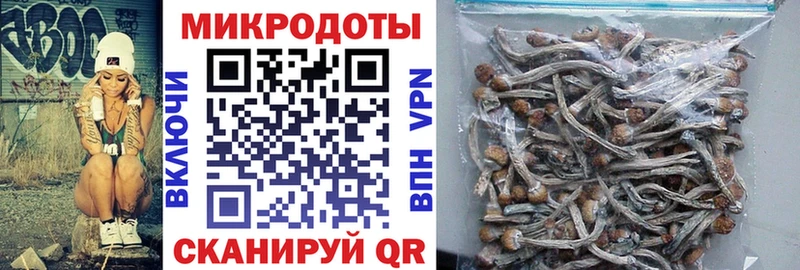 ОМГ ОМГ как войти  Санкт-Петербург  Псилоцибиновые грибы прущие грибы 